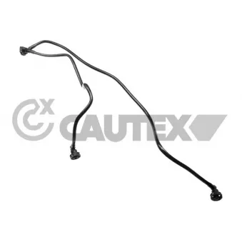 Durite de radiateur CAUTEX 773733