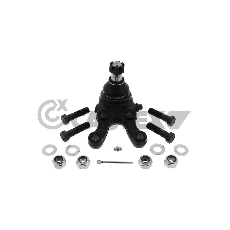 Rotule de suspension avant droit CAUTEX 774154