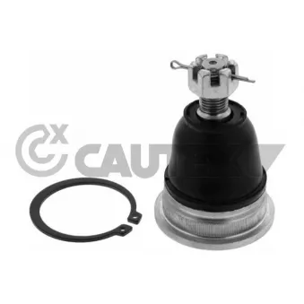 Rotule de suspension CAUTEX 774263