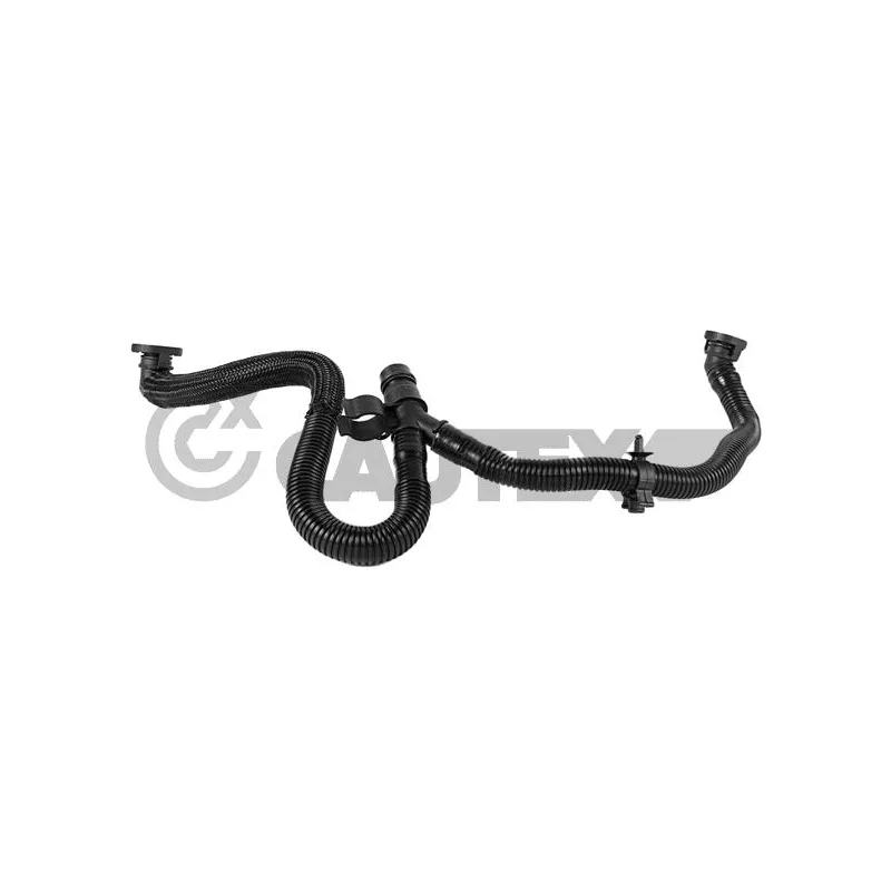 Tuyau, ventilation de carter-moteur CAUTEX 774479
