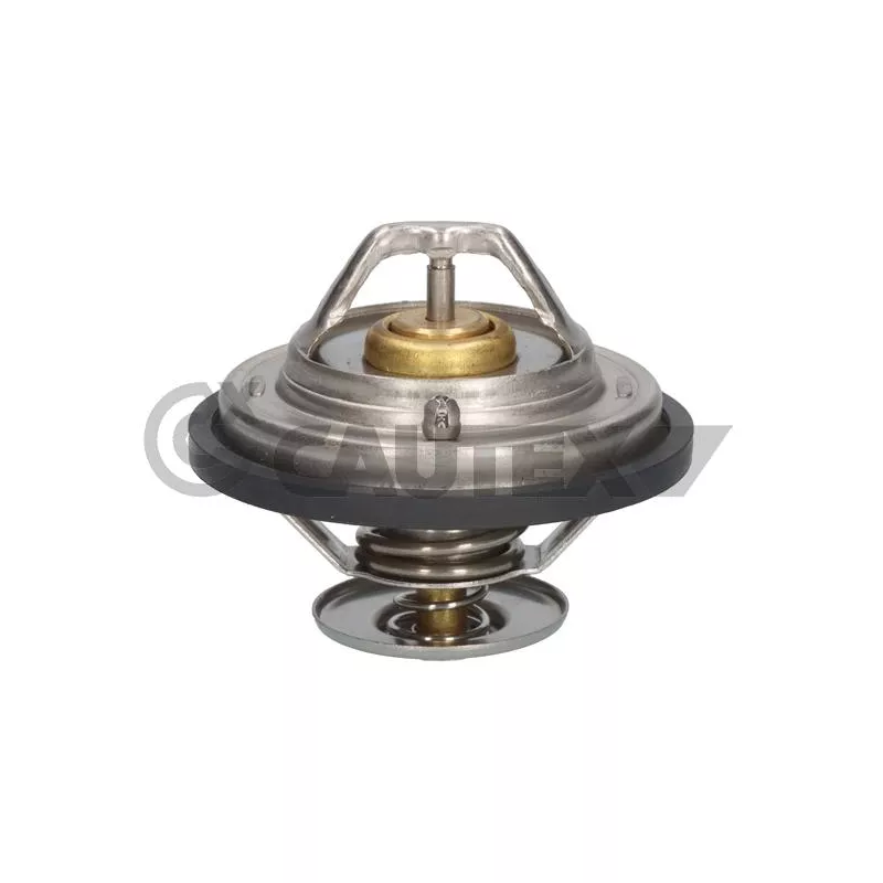 Thermostat, liquide de refroidissement CAUTEX 774567