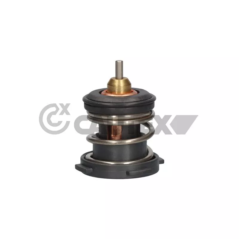 Thermostat, liquide de refroidissement CAUTEX 774570