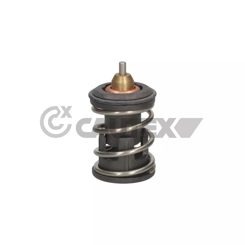 Thermostat, liquide de refroidissement CAUTEX 774572