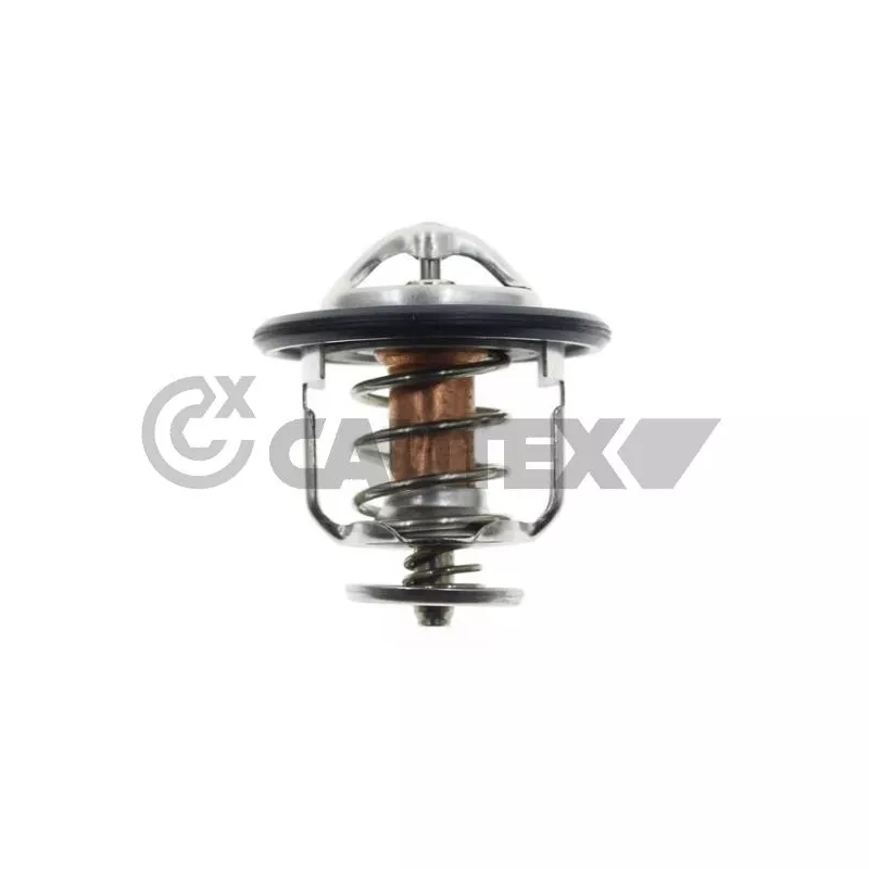 Thermostat, liquide de refroidissement CAUTEX 774582