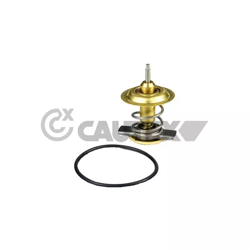 Thermostat, liquide de refroidissement CAUTEX 774593