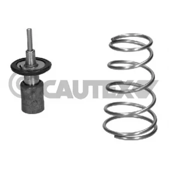 Thermostat, liquide de refroidissement CAUTEX 774594
