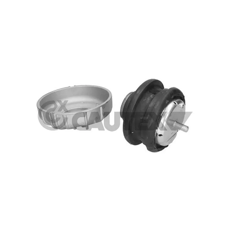 Support moteur CAUTEX 774626