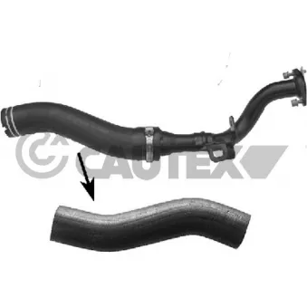 Durite de radiateur CAUTEX 774702