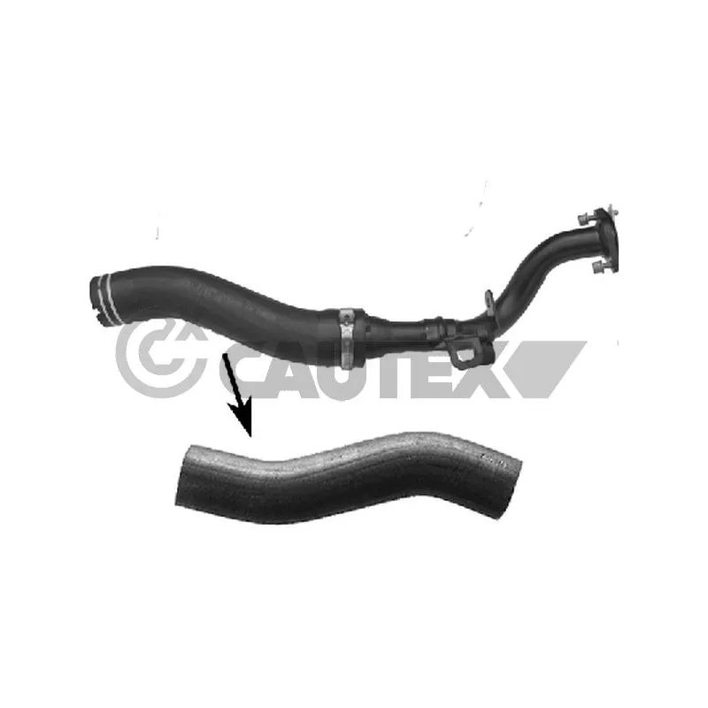 Durite de radiateur CAUTEX 774702