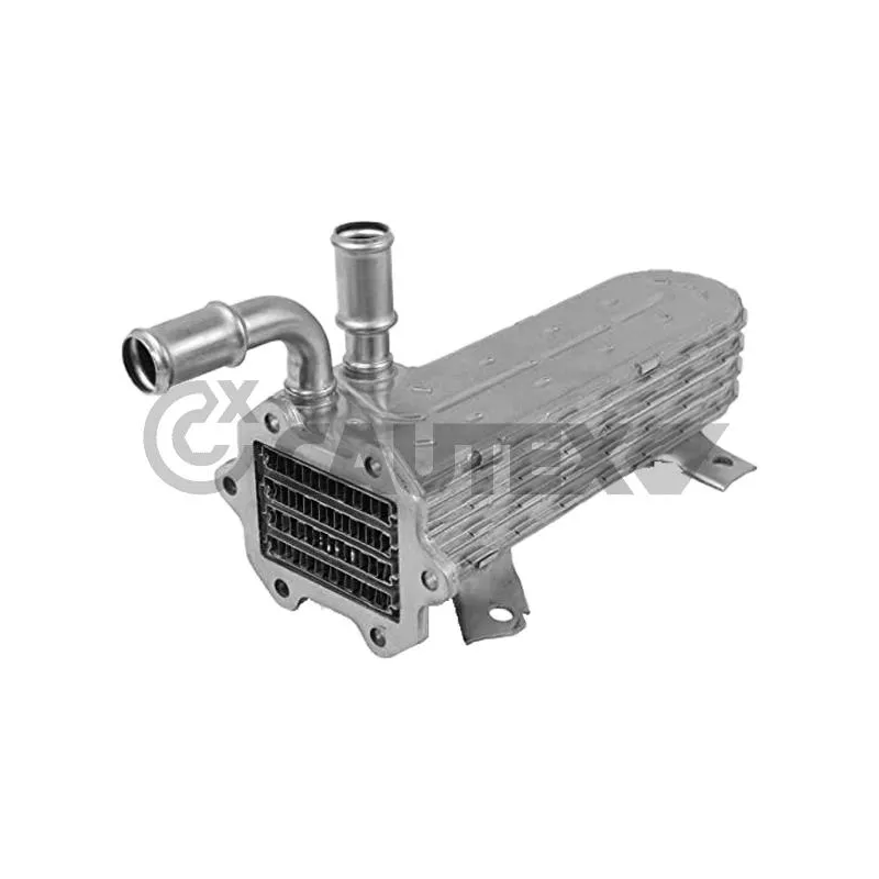 Radiateur, réaspiration des gaz d'échappement CAUTEX 774764