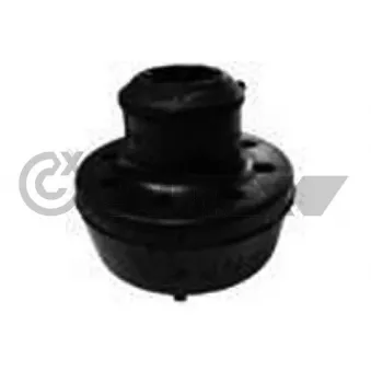 Suspension, radiateur CAUTEX 774838