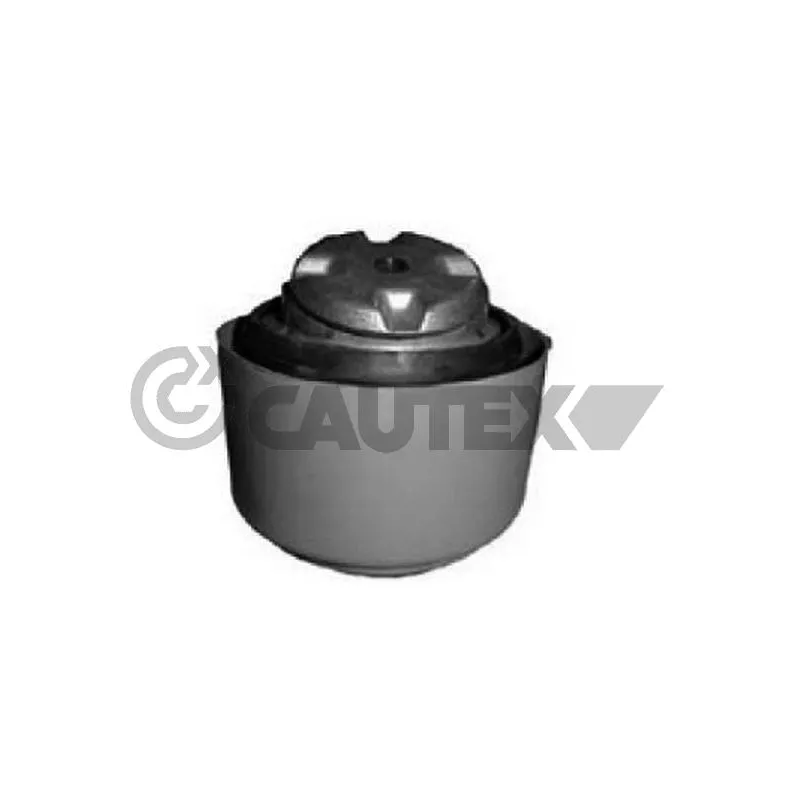 Support moteur CAUTEX 774877