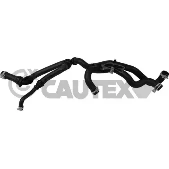 Durite de radiateur CAUTEX 775436