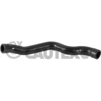 Tuyau, ventilation de carter-moteur CAUTEX 775460