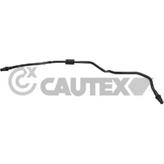 Durite de radiateur CAUTEX 775513