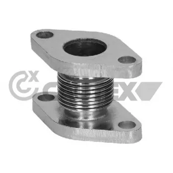 Durite de radiateur CAUTEX 775657