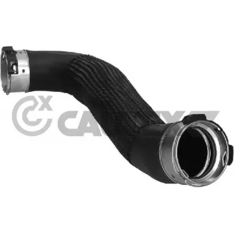 Gaine de suralimentation CAUTEX 775885