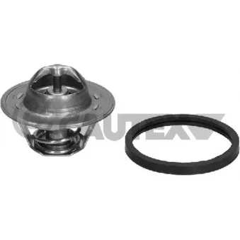 Thermostat, liquide de refroidissement CAUTEX 775905
