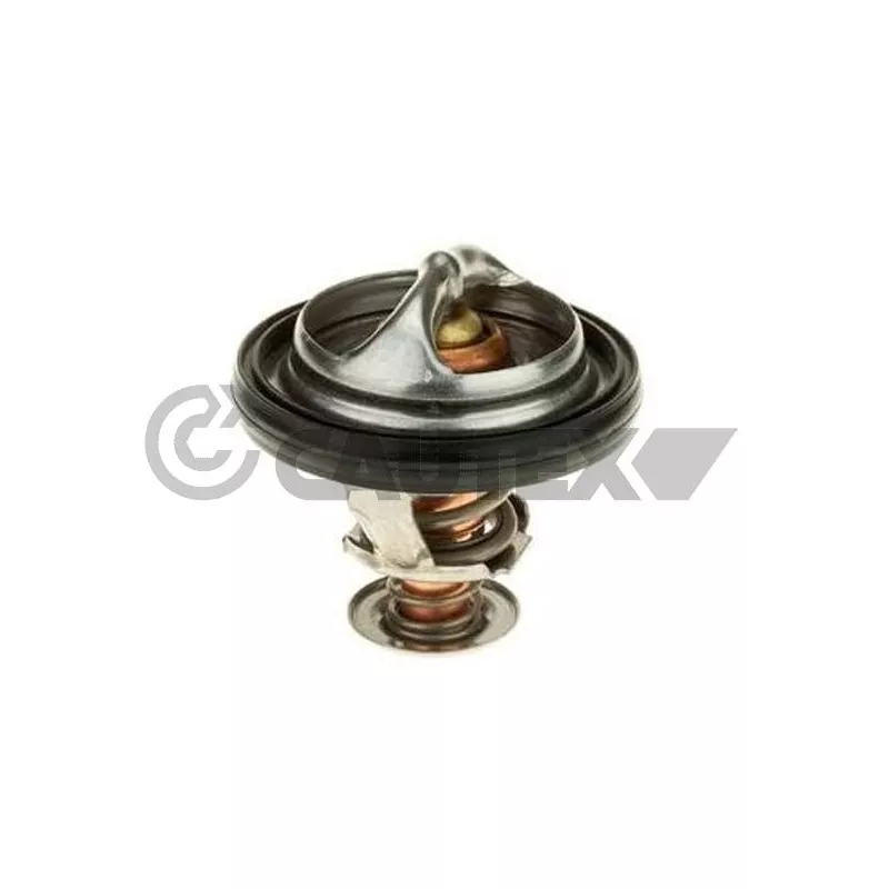 Thermostat, liquide de refroidissement CAUTEX 775906