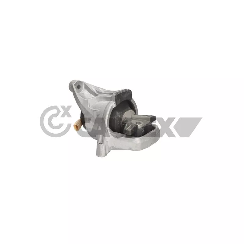 Support moteur CAUTEX 776163