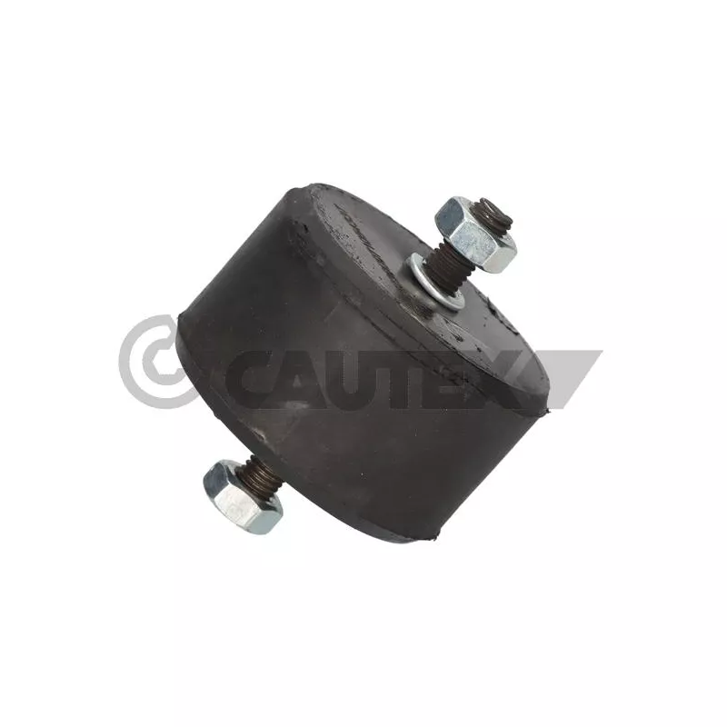 Support moteur CAUTEX 776562