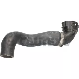 Durite de radiateur CAUTEX
