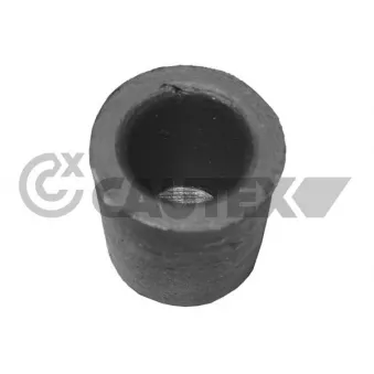 Joint, Bride de liquide de refroidissement CAUTEX 900034