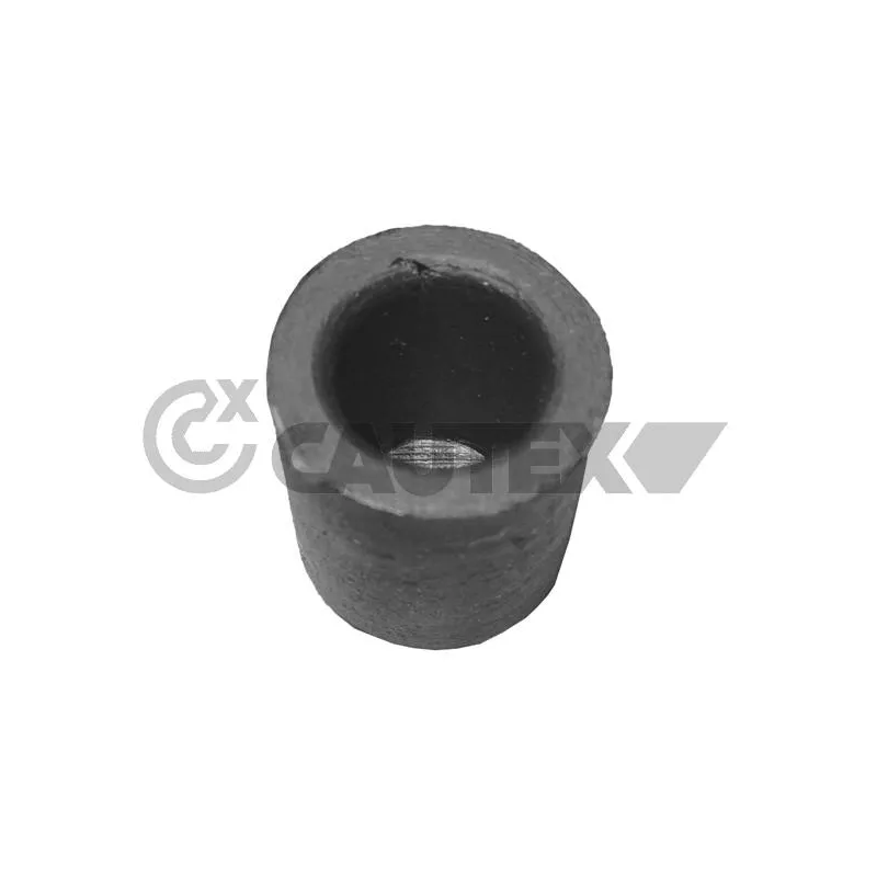 Joint, Bride de liquide de refroidissement CAUTEX 900034
