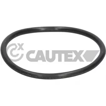 Joint d'étanchéité, thermostat CAUTEX