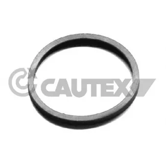 Joint d'étanchéité, thermostat CAUTEX 954208