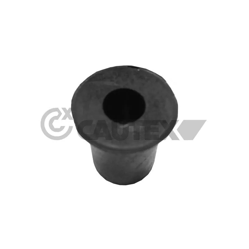 Joint, Bride de liquide de refroidissement CAUTEX 954217