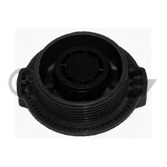 Bouchon, réservoir de liquide de refroidissement CAUTEX 954272