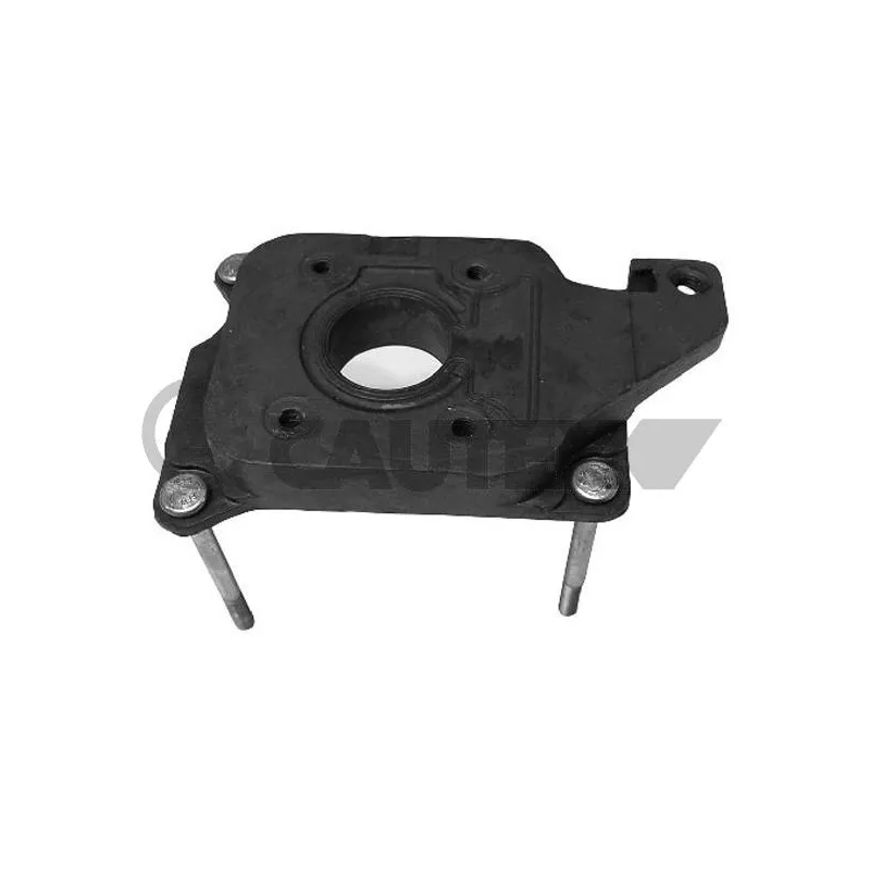 Flasque, carburateur CAUTEX 957023