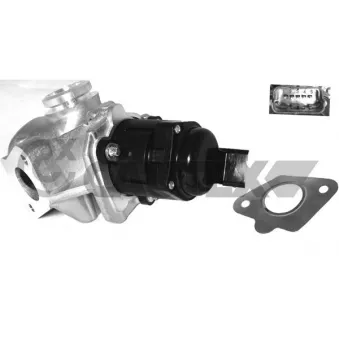 Vanne EGR, commande des gaz d'échappement CAUTEX 960002