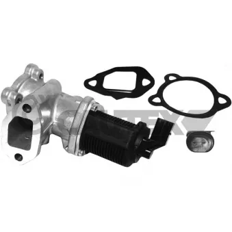 Vanne EGR, commande des gaz d'échappement CAUTEX 960006
