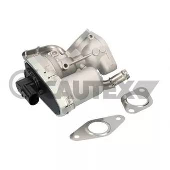 Vanne EGR, commande des gaz d'échappement CAUTEX 960009