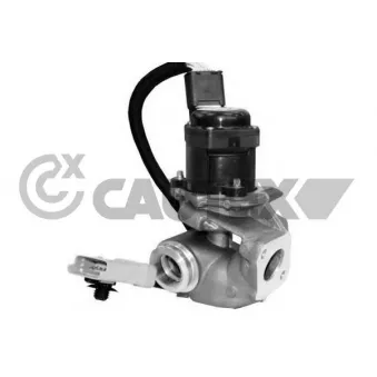Vanne EGR, commande des gaz d'échappement CAUTEX 960011