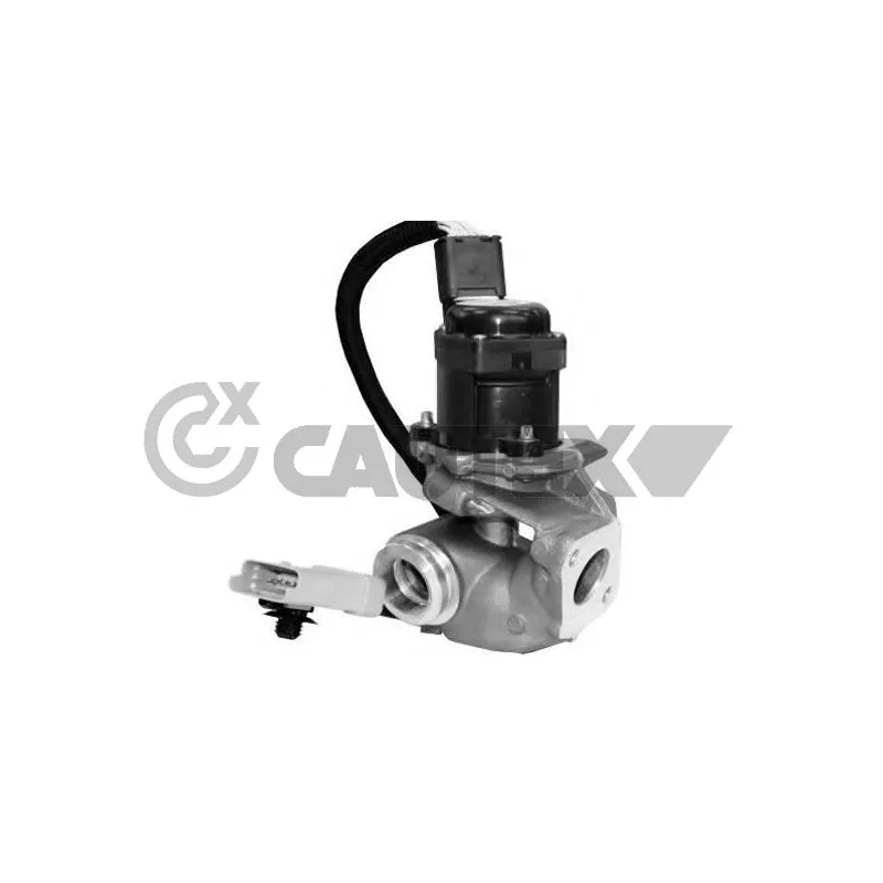 Vanne EGR, commande des gaz d'échappement CAUTEX 960011