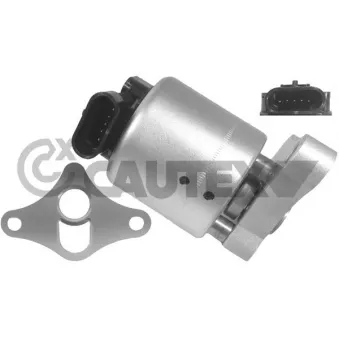 Vanne EGR, commande des gaz d'échappement CAUTEX 960016