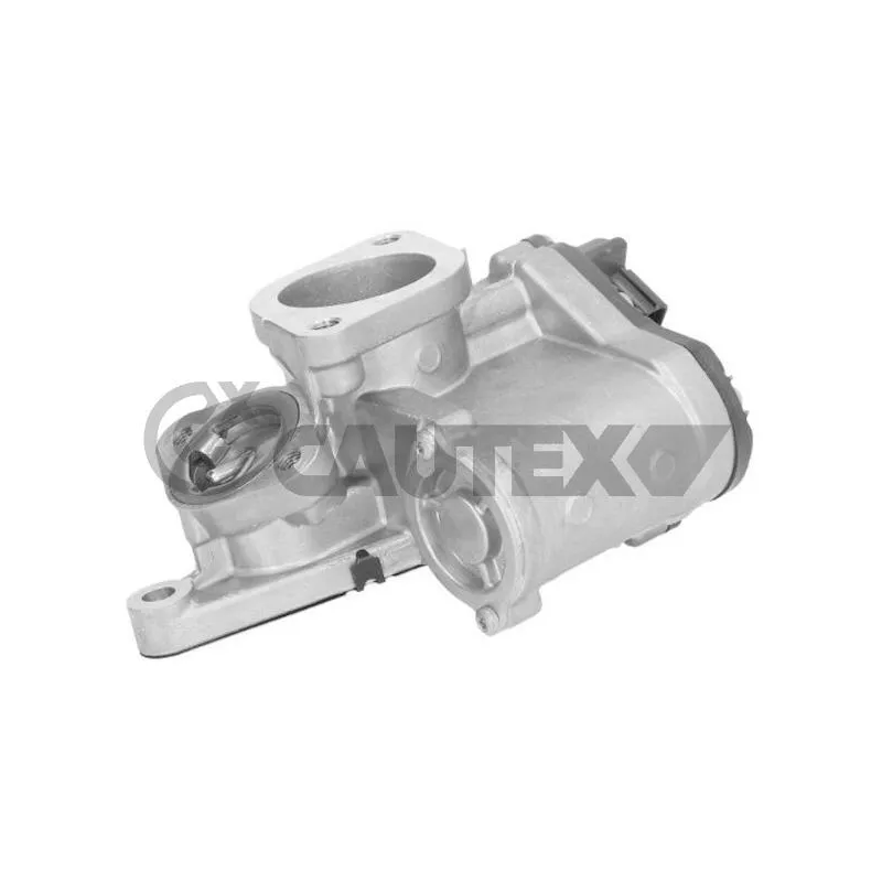 Vanne EGR, commande des gaz d'échappement CAUTEX 960024