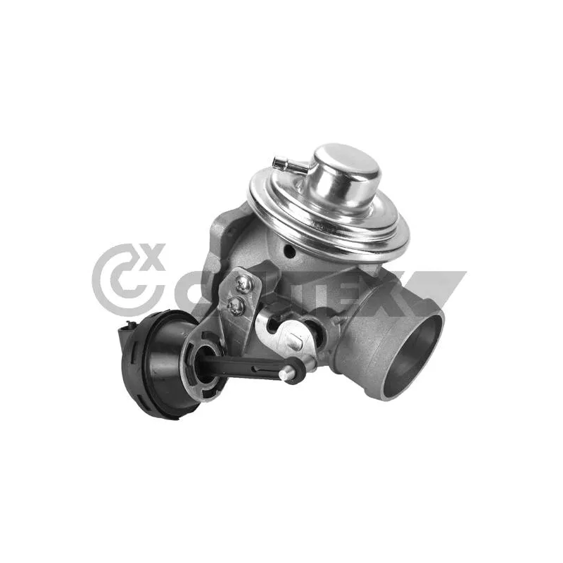 Vanne EGR, commande des gaz d'échappement CAUTEX 960035