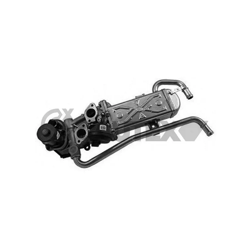 Vanne EGR, commande des gaz d'échappement CAUTEX 960047