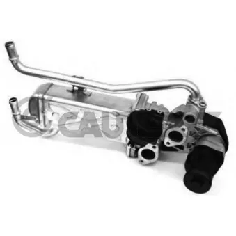 Vanne EGR, commande des gaz d'échappement CAUTEX 960048