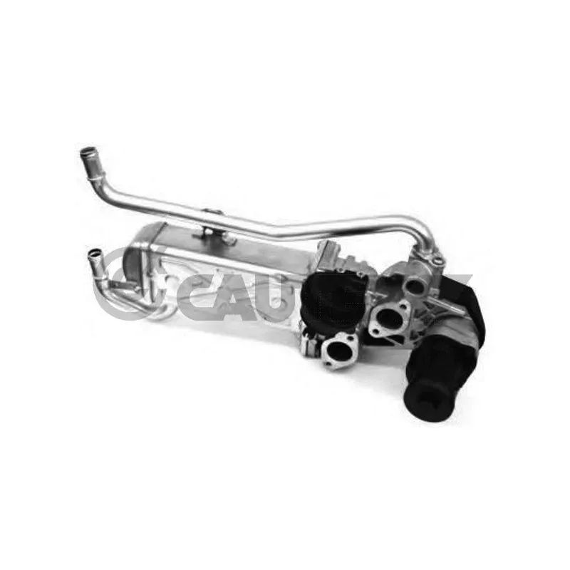 Vanne EGR, commande des gaz d'échappement CAUTEX 960048