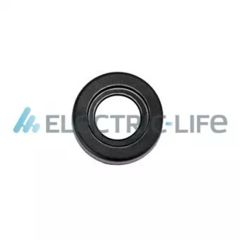 Manivelle de vitre ELECTRIC LIFE ZR11032