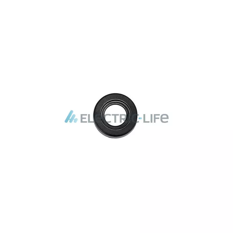 Manivelle de vitre ELECTRIC LIFE ZR11032