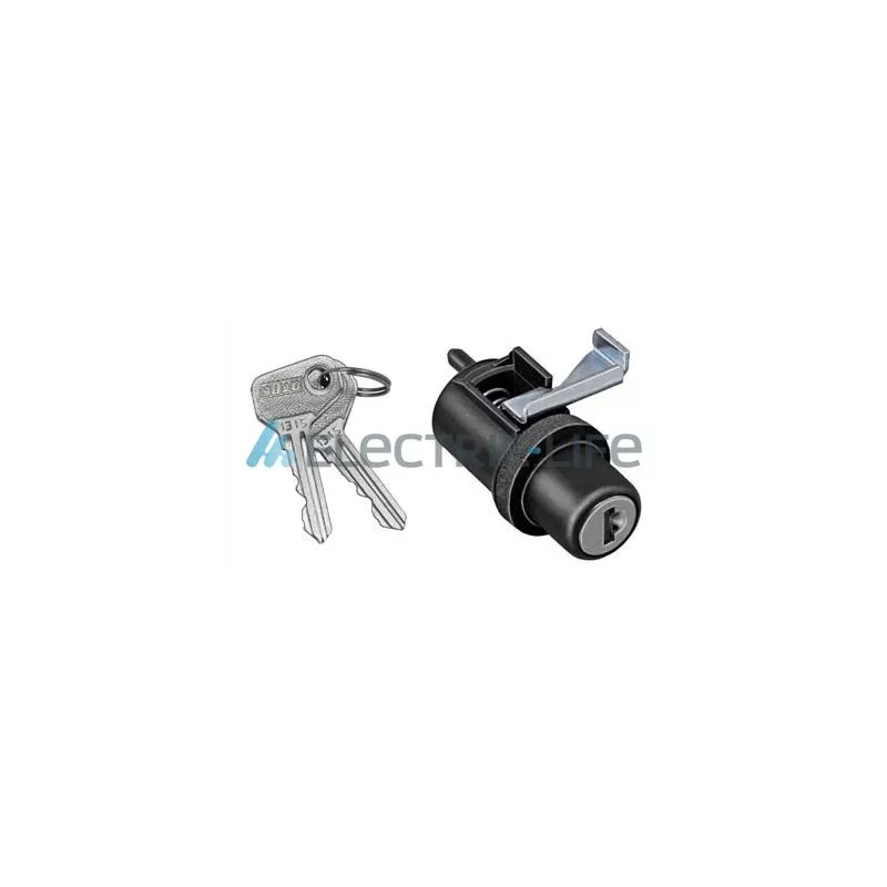 Serrure de hayon ELECTRIC LIFE ZR37146