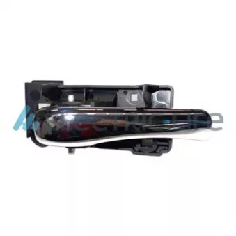 Poignet de porte, équipment intérieur ELECTRIC LIFE ZR60180