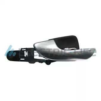 Poignet de porte, équipment intérieur arrière gauche ELECTRIC LIFE ZR60184