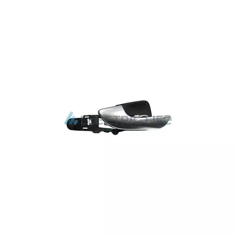 Poignet de porte, équipment intérieur arrière gauche ELECTRIC LIFE ZR60184